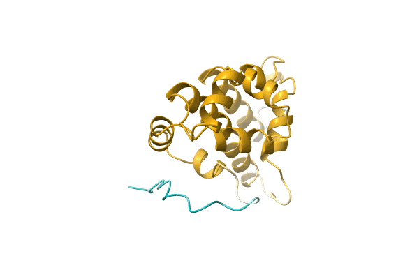 AF-A0A0C5XKJ0-F1 image
