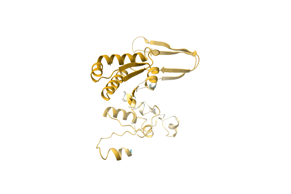AF-A0A0D5CPL3-F1 image