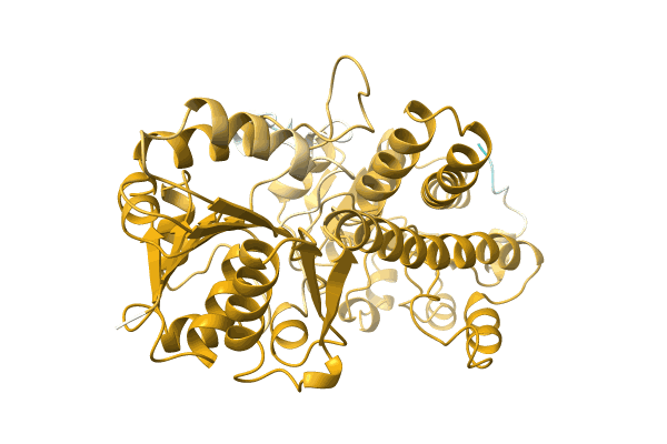 AF-A0A0D9Z952-F1 image