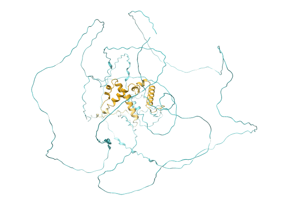 AF-A0A0D9Z953-F1 image