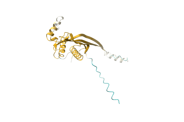 AF-A0A0E9MYK6-F1 image
