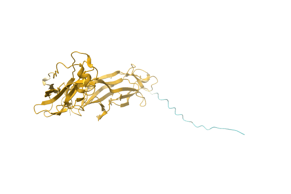 AF-A0A0F1AAM6-F1 image