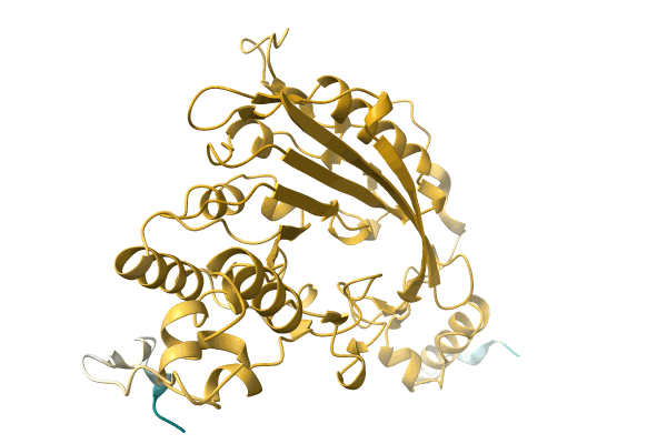 AF-A0A0F8UDR8-F1 image