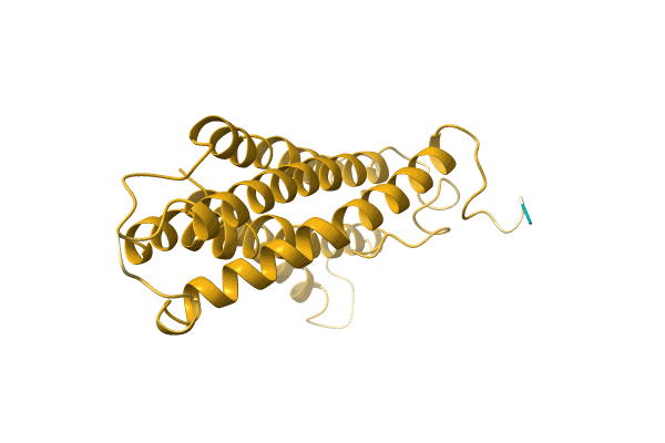 AF-A0A0G2SZS6-F1 image