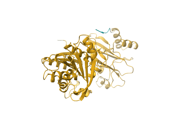 AF-A0A0H2V660-F1 image