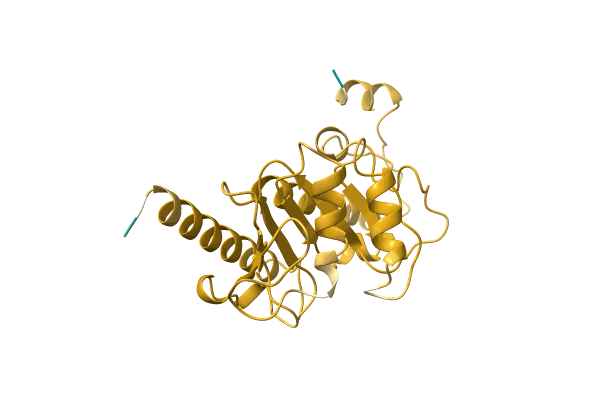 AF-A0A0H2VA12-F1 image