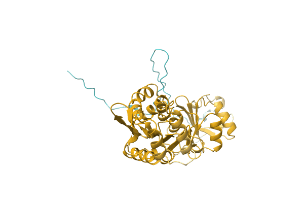 AF-A0A0H2VFI3-F1 image