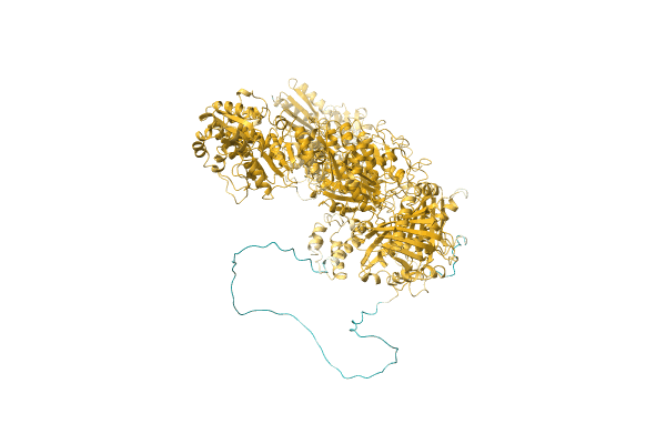 AF-A0A0H4ADX3-F1 image