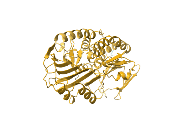 AF-A0A0H4TXY1-F1 image