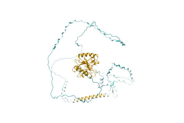 AF-A0A0N0P9H1-F1 image