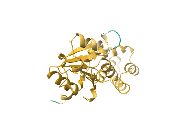 AF-A0A0Q1ADN4-F1 image