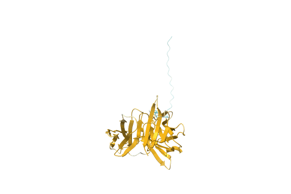 AF-A0A0Q5MGD1-F1 image