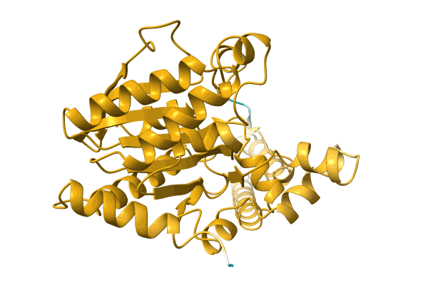 AF-A0A0Q5MGE8-F1 image