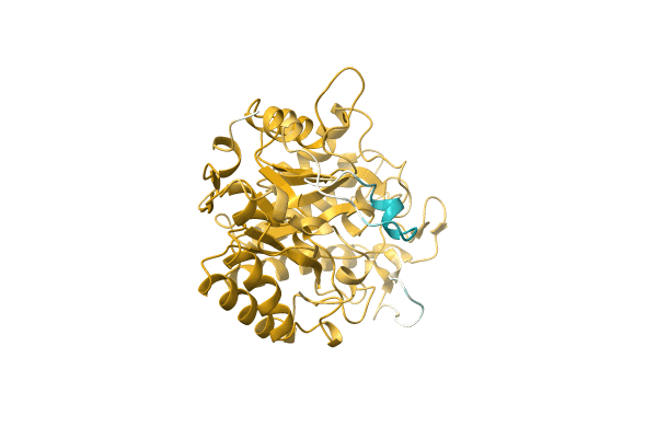AF-A0A0Q5MGI5-F1 image