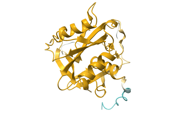 AF-A0A0Q5MGL2-F1 image