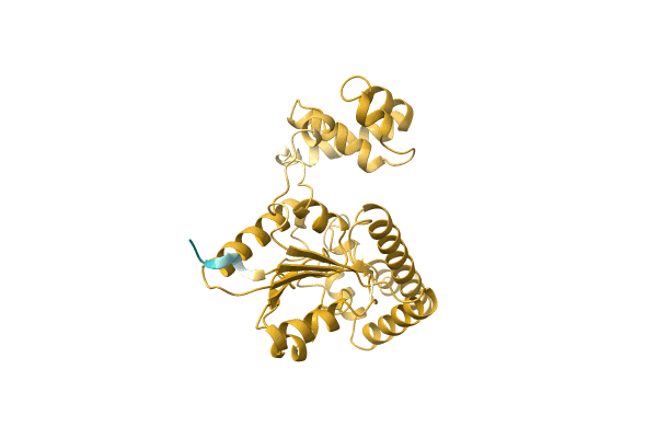 AF-A0A0Q5MGP9-F1 image