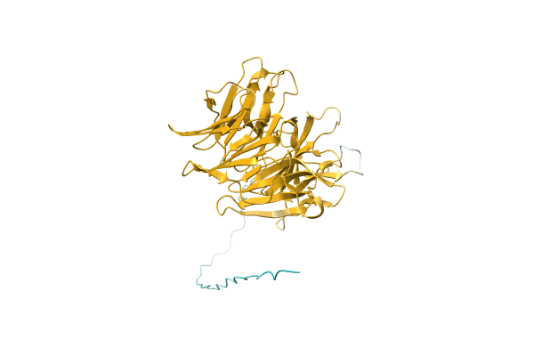 AF-A0A0Q6VTP8-F1 image