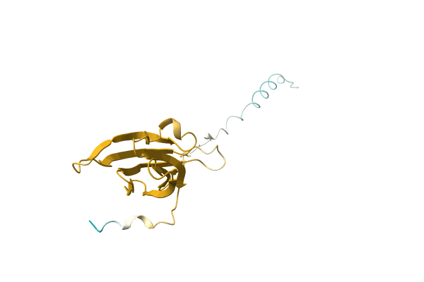 AF-A0A0Q8B582-F1 image