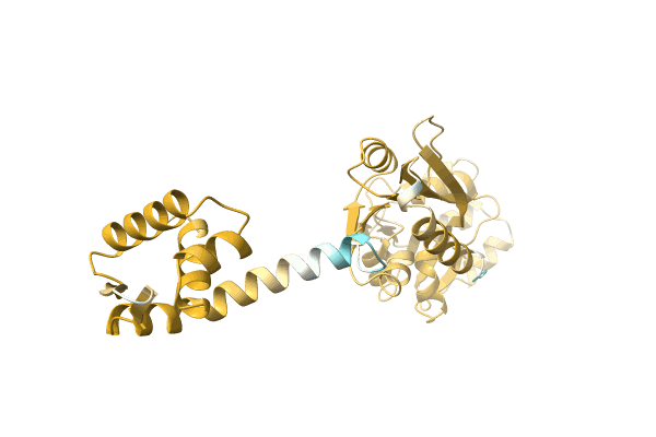 AF-A0A0Q8MZZ2-F1 image