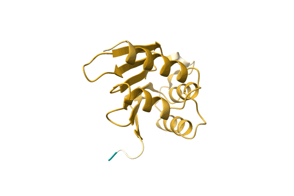 AF-A0A0Q8SEY2-F1 image