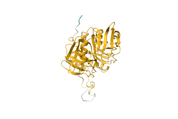 AF-A0A0Q9Y0K9-F1 image