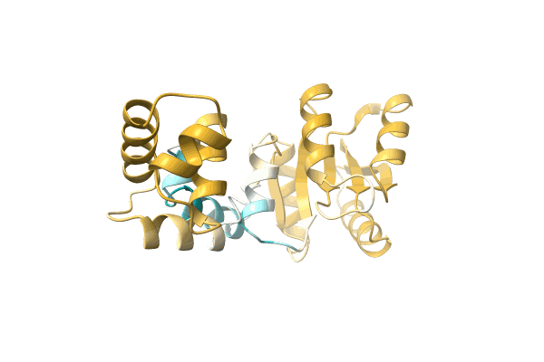 AF-A0A0Q9Y0N7-F1 image