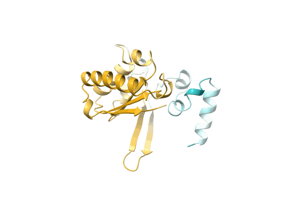 AF-A0A0S2SYX5-F1 image