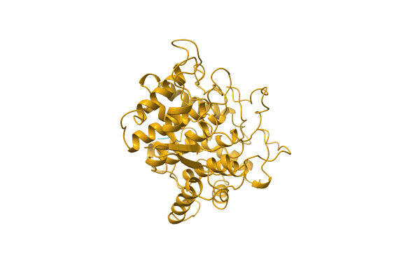 AF-A0A0S2UQQ5-F1 image