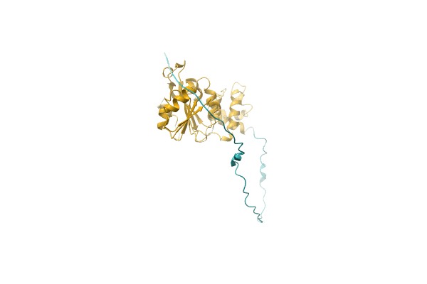AF-A0A0T1QAD4-F1 image