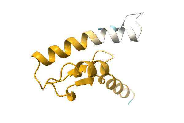 AF-A0A0U2U2W9-F1 image