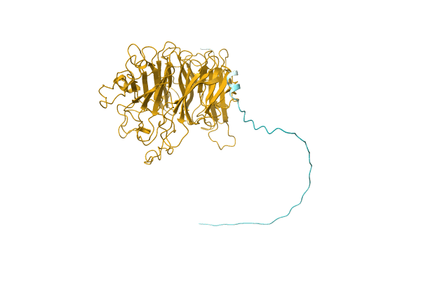 AF-A0A0X9SHN5-F1 image