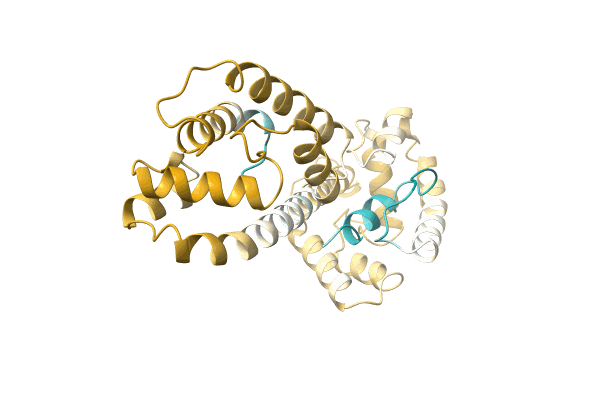 AF-A0A146JVS5-F1 image