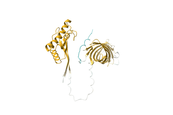 AF-A0A160PAH3-F1 image