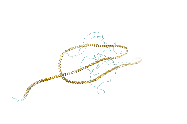 AF-A0A166B1A6-F1 image