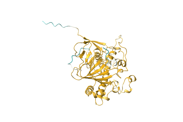 AF-A0A166YZY9-F1 image