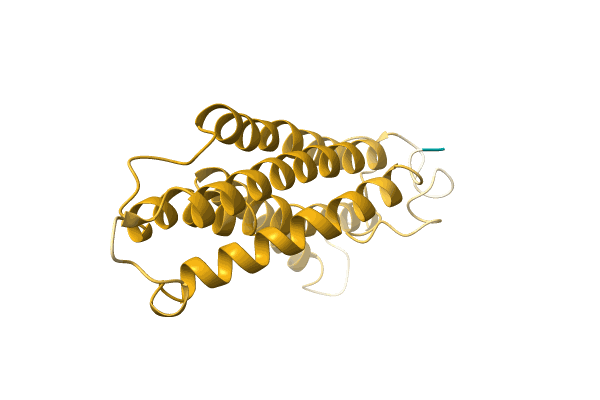 AF-A0A172NGB8-F1 image