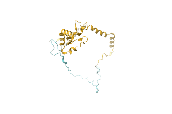 AF-A0A1A6H4Y6-F1 image