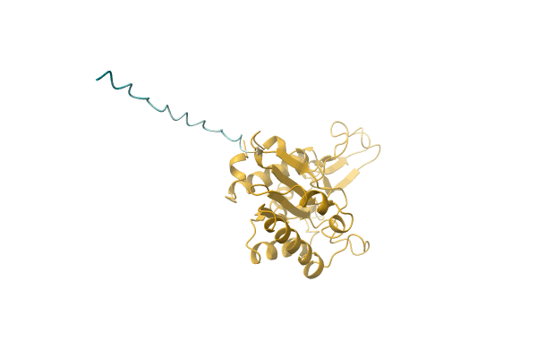 AF-A0A1A7KCX6-F1 image