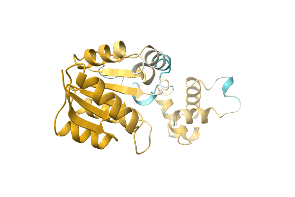 AF-A0A1A9QMN8-F1 image