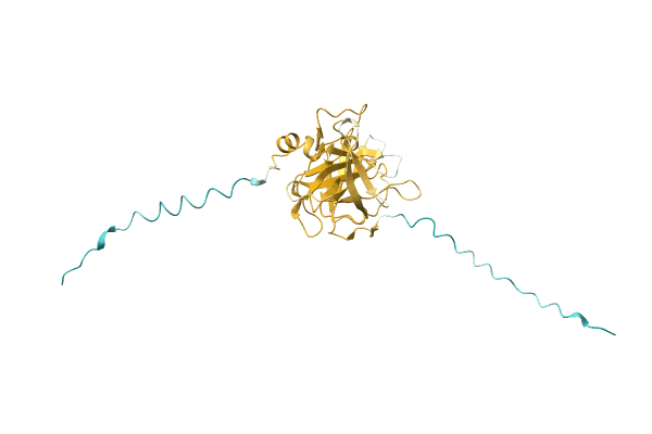 AF-A0A1B0RHN0-F1 image