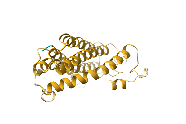 AF-A0A1B1D0R6-F1 image
