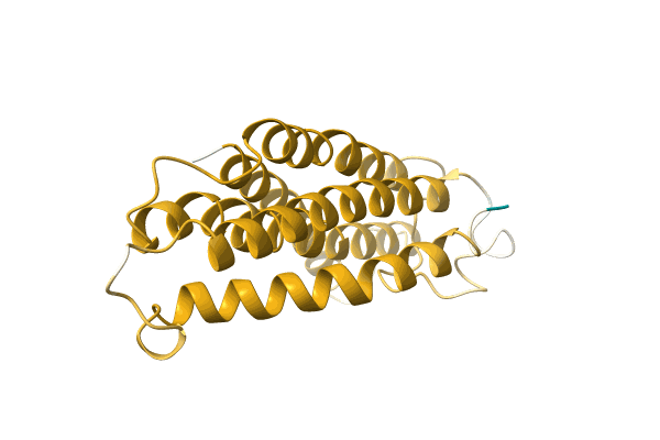 AF-A0A1B1D4L9-F1 image