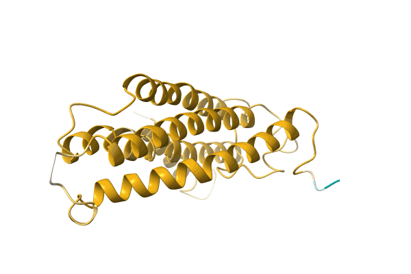 AF-A0A1B1DBG8-F1 image