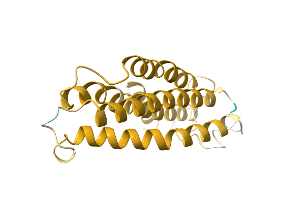 AF-A0A1B2PP58-F1 image