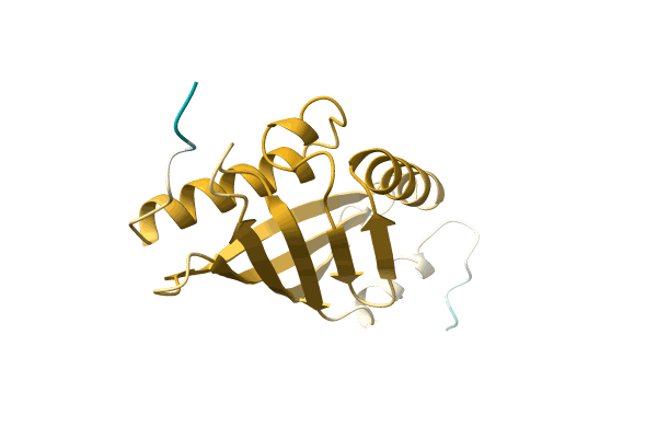 AF-A0A1B4XBH4-F1 image