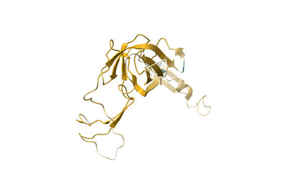 AF-A0A1B4YBH4-F1 image