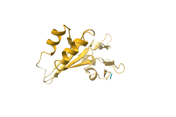 AF-A0A1B8X0Y6-F1 image