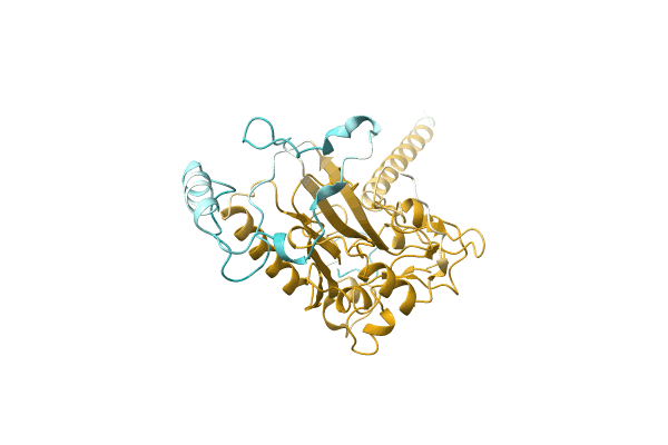 AF-A0A1C4NWS9-F1 image