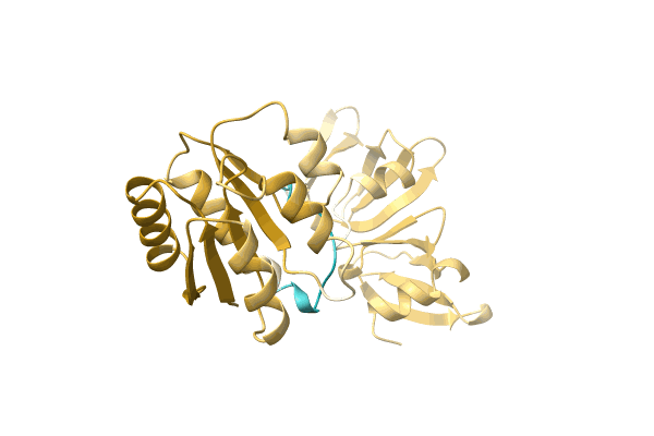 AF-A0A1C6ETN8-F1 image