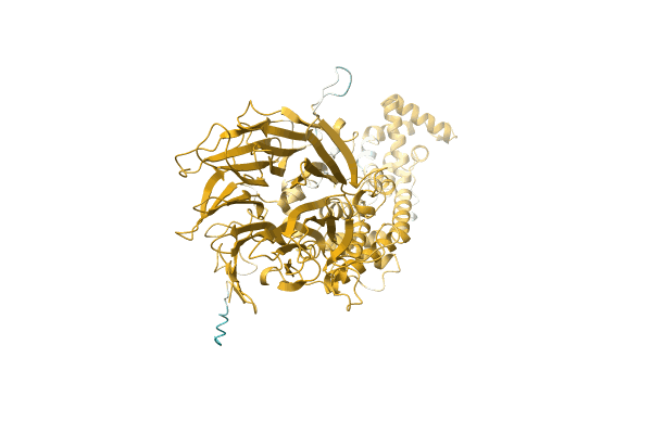 AF-A0A1C6FF91-F1 image